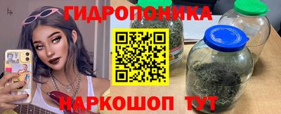 молекула духа Ливны