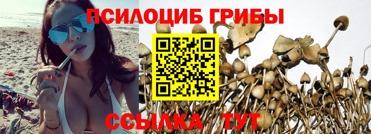Воскресенск  Псилоцибиновые грибы мухоморы  Вход с VPN 